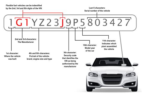 Serial Number Lookup 